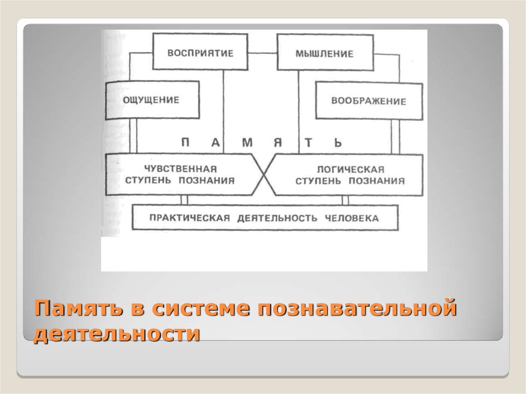 Чувственное мышление. Память в системе познавательной деятельности схема. В практической деятельности память. : Чувственная и логическая ступени познания.. Ступени памяти.