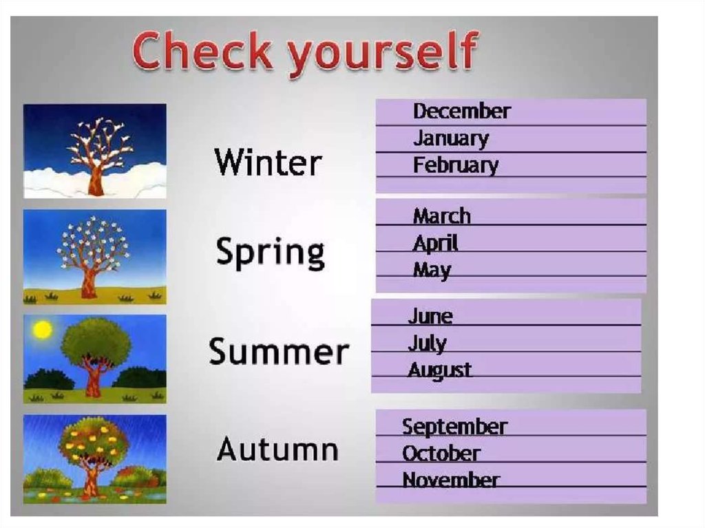 seasons and weather presentation