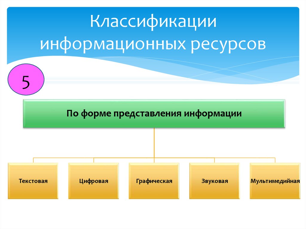 Виды информационных ресурсов