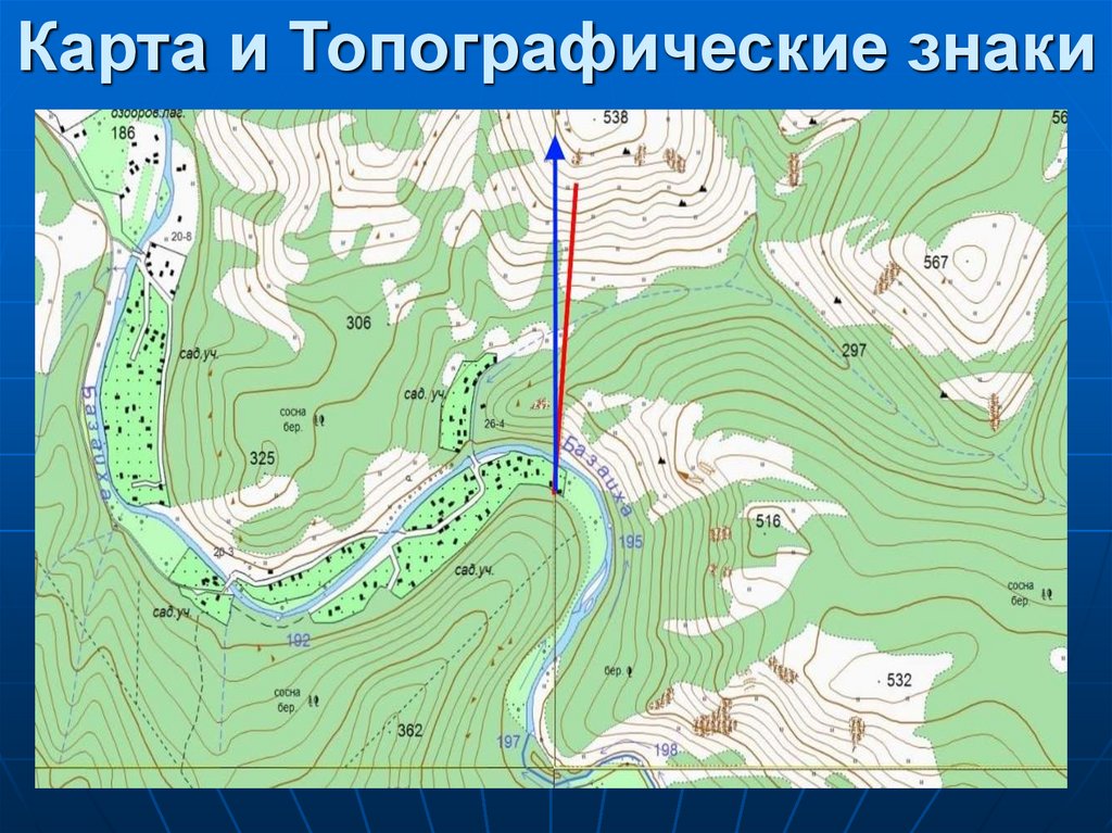 Топографическая карта где взять