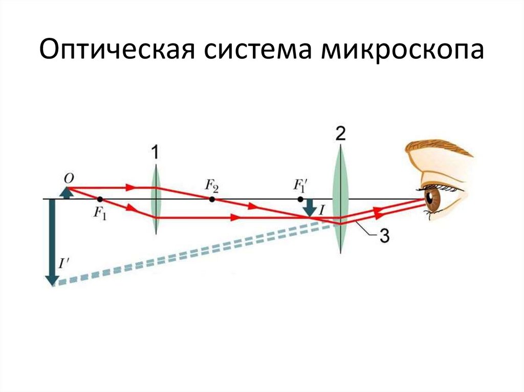 Постройте изображение в лупе