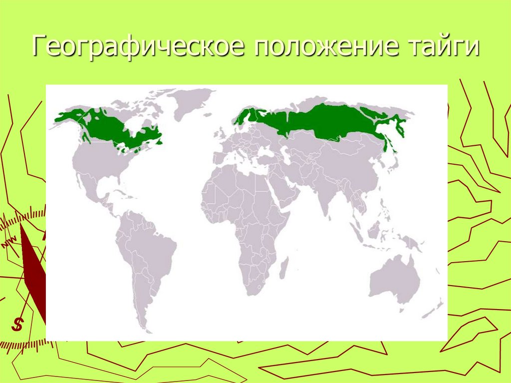 Северная тайга россии карта