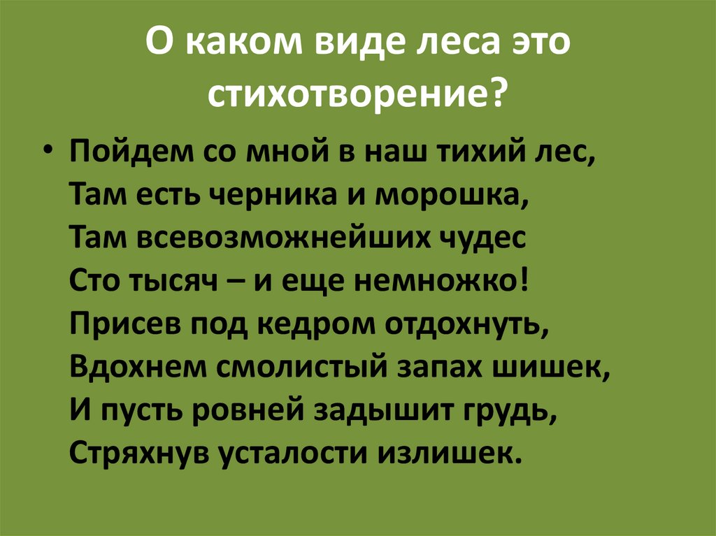 Предложение на слово тайга