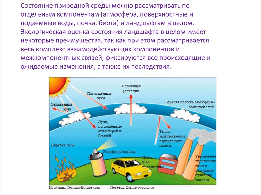 План егэ глобальные экологические проблемы