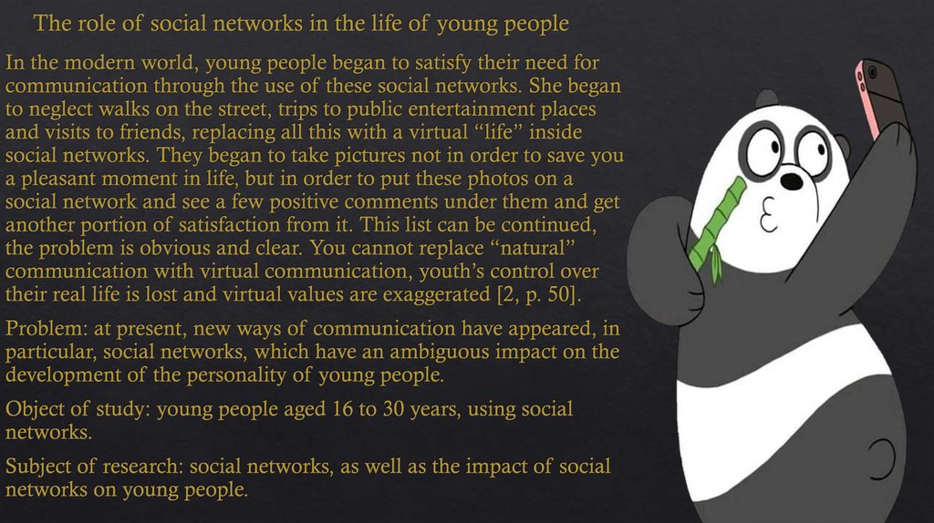 The role of social networks in the life of young people