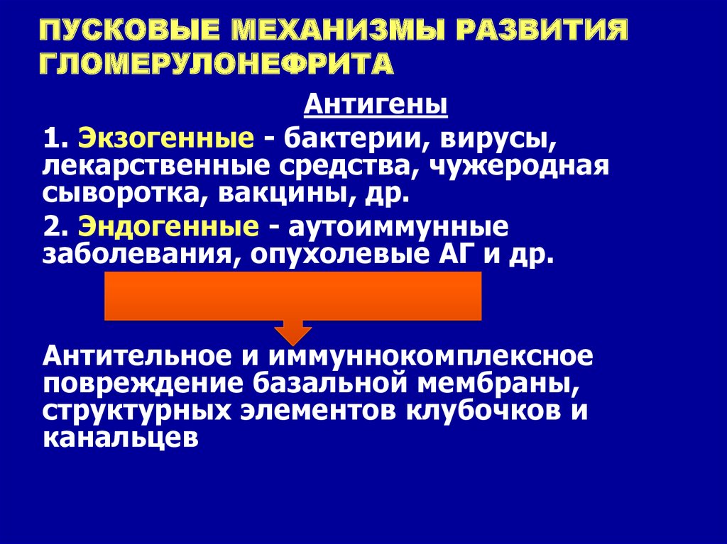 Пусковой механизм. Эндогенные антигены при хроническом гломерулонефрите. Антительный механизм развития гломерулонефрита. Пусковой механизм при гломерулонефрите. Пусковой механизм подострого гломерулонефрита.