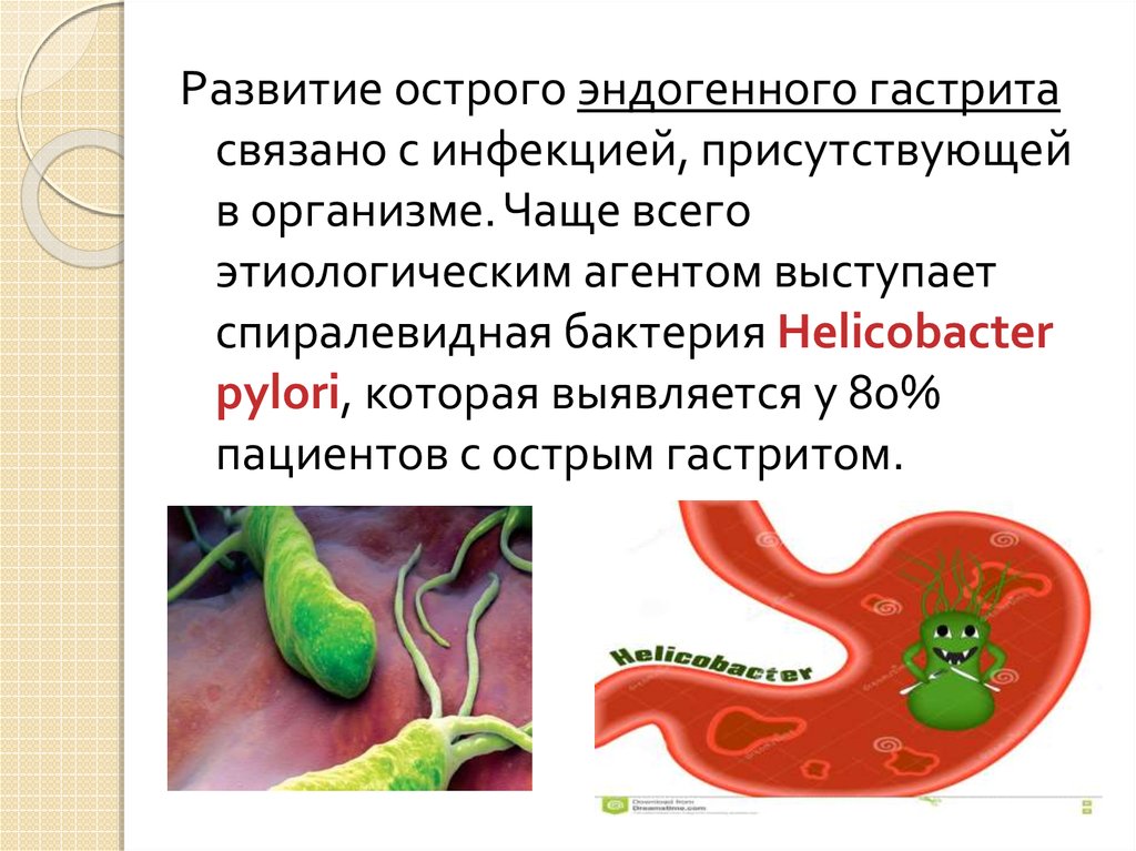 Бактерии в желудке хеликобактер симптомы и лечение. Бактерия хеликобактер пилори симптомы. Клиника при хеликобактер пилори. Пути инфицирования хеликобактер пилори.