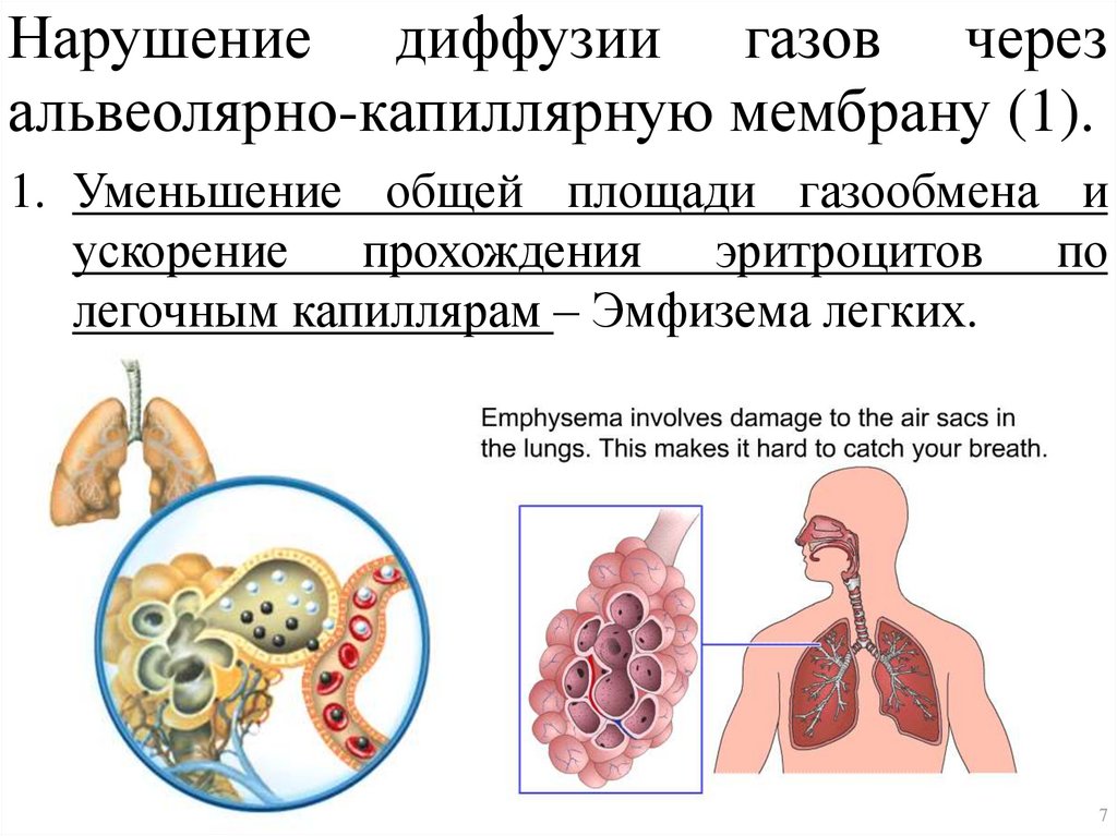 Диффузия газов происходит