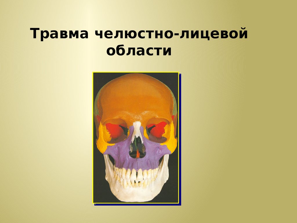 Перелом лицевого черепа. Травмы челюстно-лицевой области. Переломы челюстно лицевой области. Челюстно-лицевая область. Травмы челюстоличевой области.