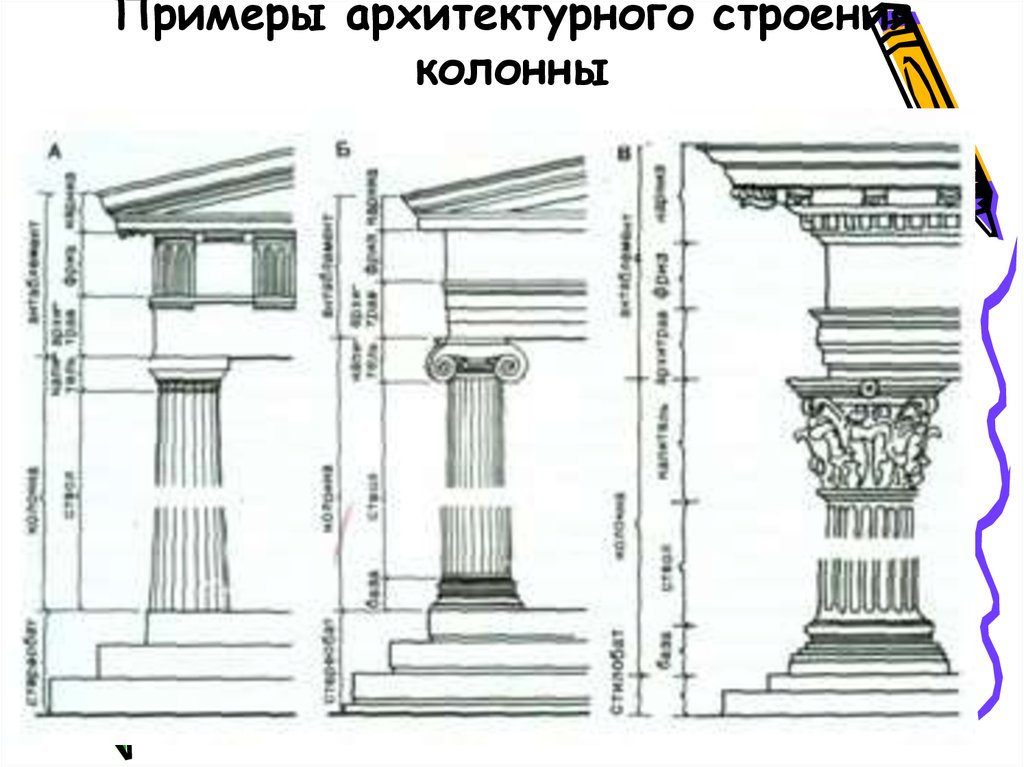 Составляющие ордера. Дорический ионический Коринфский ордер в архитектуре. Дорический ордер колонна Греция. Древняя Греция дорический ионический и Коринфский ордеры. Архитектурные ордера древней Греции.