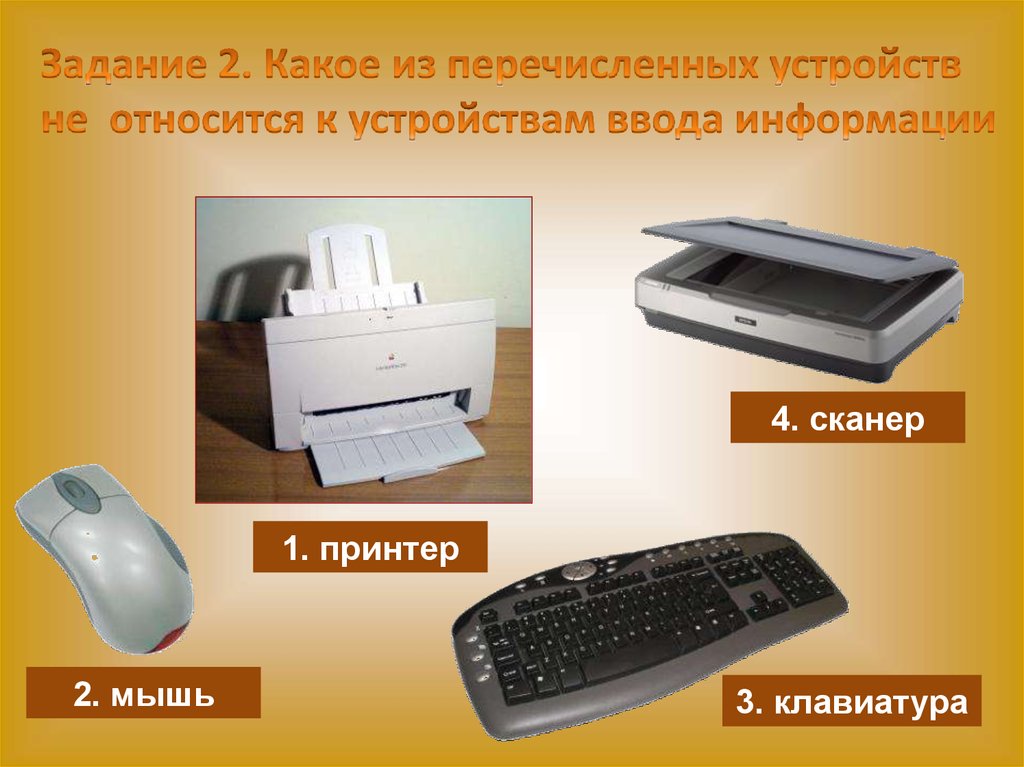 Какое устройство является устройством ввода. Устройства ввода принтер. Клавиатура мышь сканер. Принтер является устройством ввода информации. Устройства ввода информации- клавиатура и сканер..