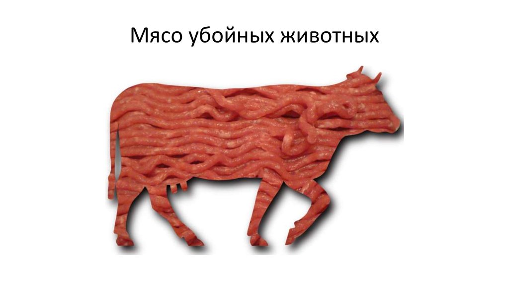 Мясо убойных животных