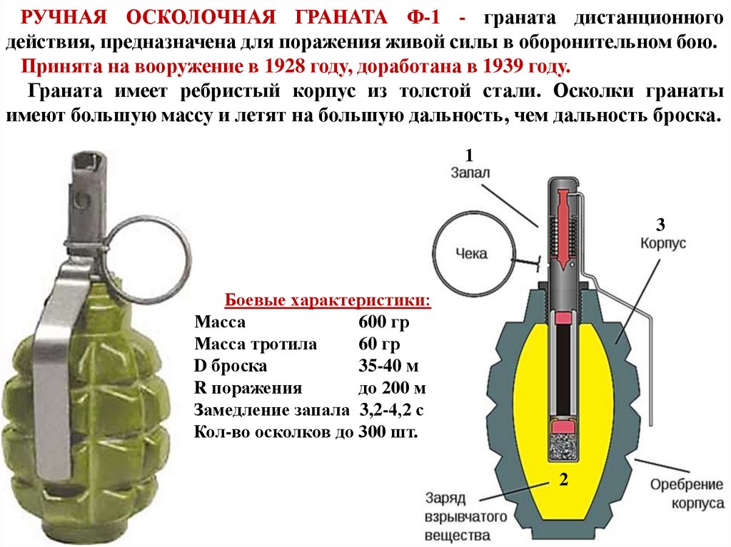 Ф1 граната картинки