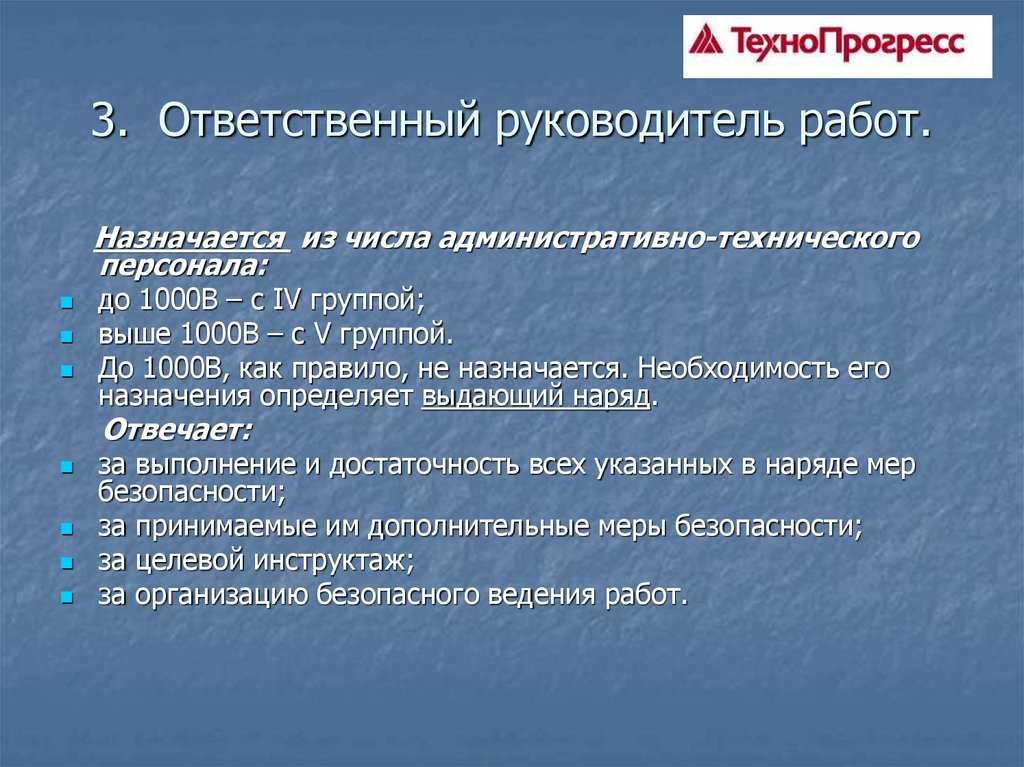 Руководитель проекта назначается