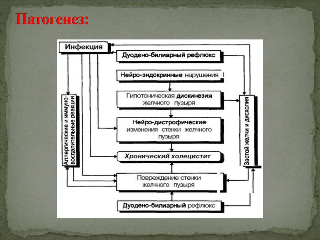 Калькулезный холецистит патогенез. Этиопатогенез хронического холецистита. Хр холецистит патогенез. Патогенез острого холецистита схема. Патогенез хронического холецистита.