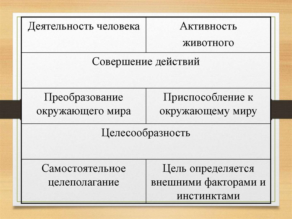 Область человеческой деятельности. Преобразование деятельности человека. Деятельность человека и активность животного. Пример целенаправленной деятельности человека. Целесообразность деятельности животных.