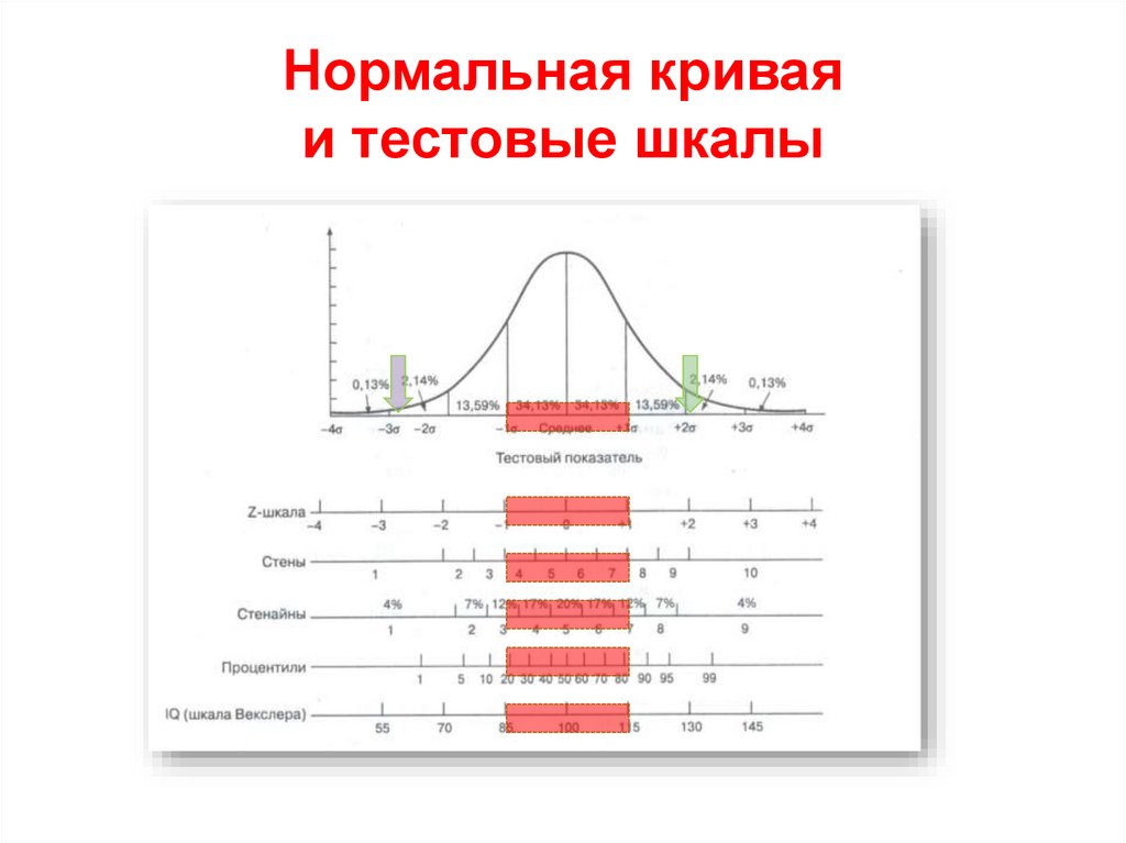 Нормальная кривая