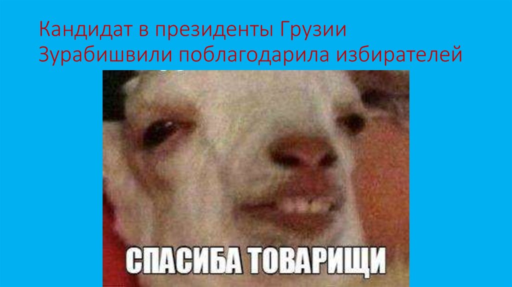 Кандидат в президенты Грузии Зурабишвили поблагодарила избирателей