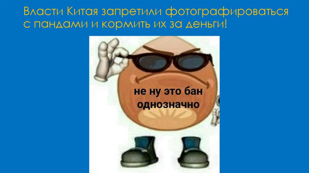 Власти Китая запретили фотографироваться с пандами и кормить их за деньги!