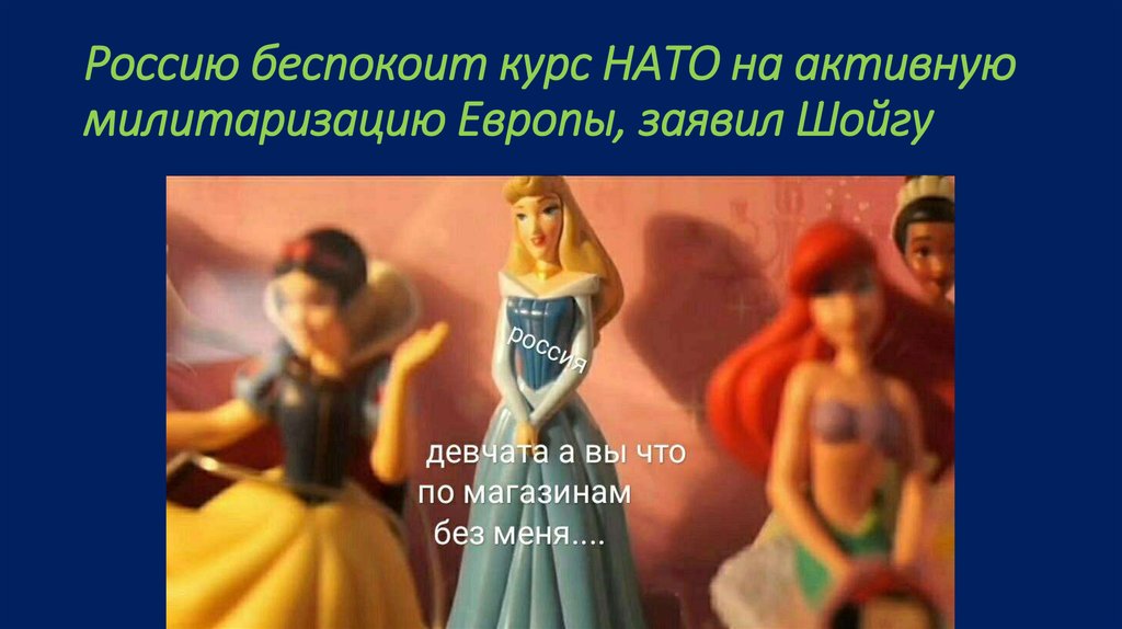 Россию беспокоит курс НАТО на активную милитаризацию Европы, заявил Шойгу