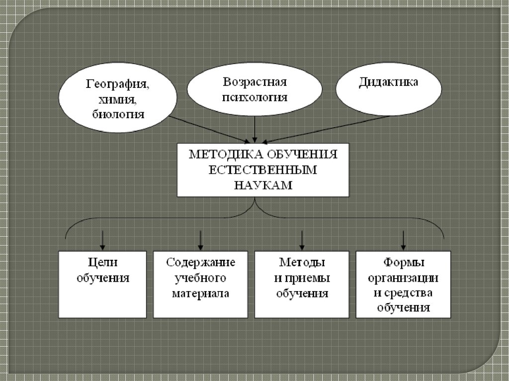 Морфология урок 6 класс презентация