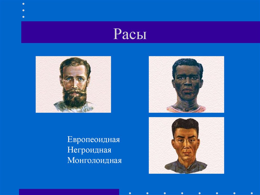 Признаки расы европеоидная монголоидная негроидная