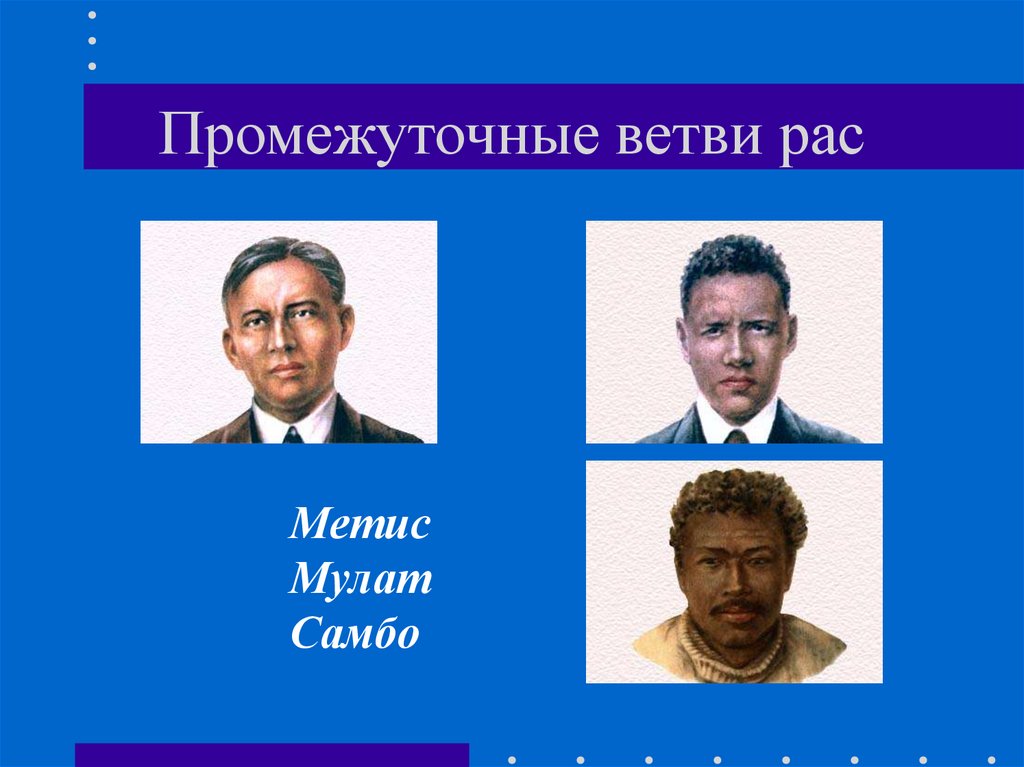 Промежуточные ветви рас