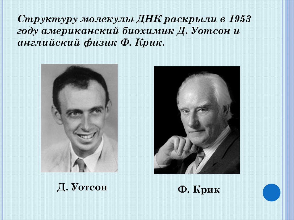 Физик ф. 1953 - Ф. крик и Дж. Уотсон. Уотсон и крик. Дж Уотсон и крик. Крик и Уотсон достижения.