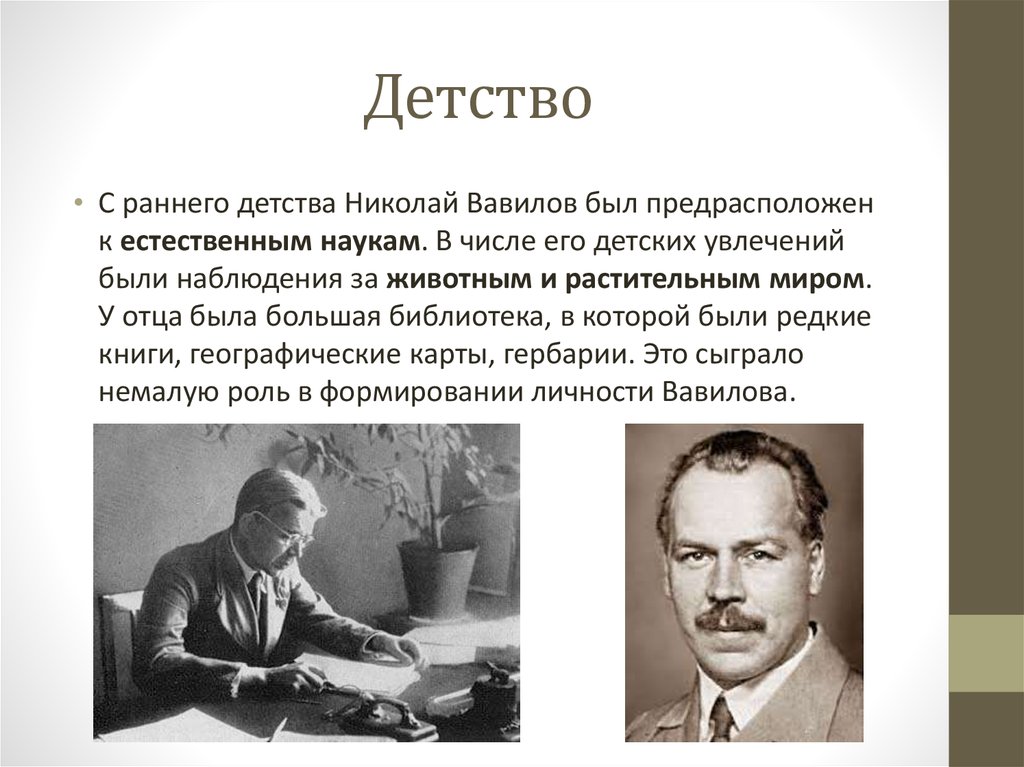 Доклад н. Николай Вавилов биолог. Заслуги Вавилова Николая Ивановича. Николай Иванович Вавилов Выдающиеся заслуги. Вавилов-выдающийся ученый селекционер.