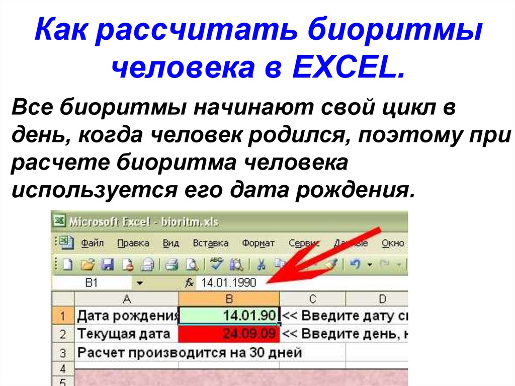 Расчет биоритмов. Как рассчитать биоритмы человека. Формула для расчета биоритмов человека. Расчет биоритмов человека в excel.