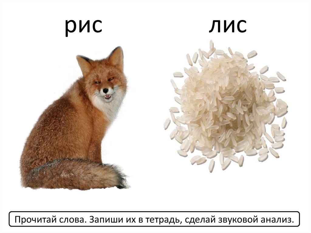 Лисов а л. Лис рис. Слова лисы. Схема слова лисы. Лис словами.