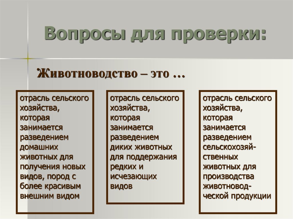 Значение животноводства. Важность животноводства. Значение животноводства для человека. Значение отрасли животноводства.