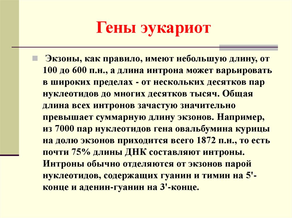 Определение гена. Экзоны. Что представляют собой экзоны. П.Н В экзоне это. Длина экзона.