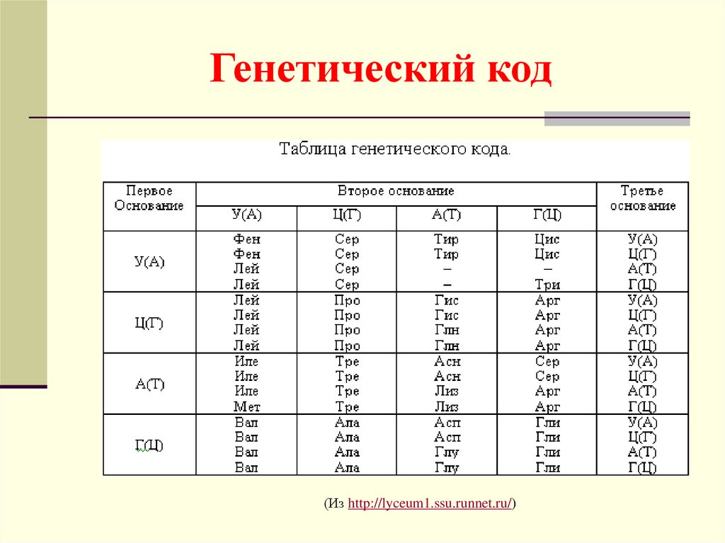 Генетический код первое второе третье основание. Генетический код таблица по биологии 9 класс. Таблица расшифровки ДНК. Генетический код ДНК таблица. Таблицу генетического кода по дн.