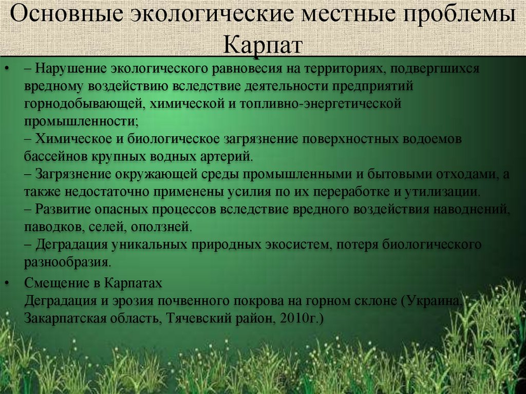 Местные проблемы. Местные экологические проблемы. Экологические проблемы локальные проблемы. Экологические проблемы местные проблемы. Местные экологические проблемы примеры.