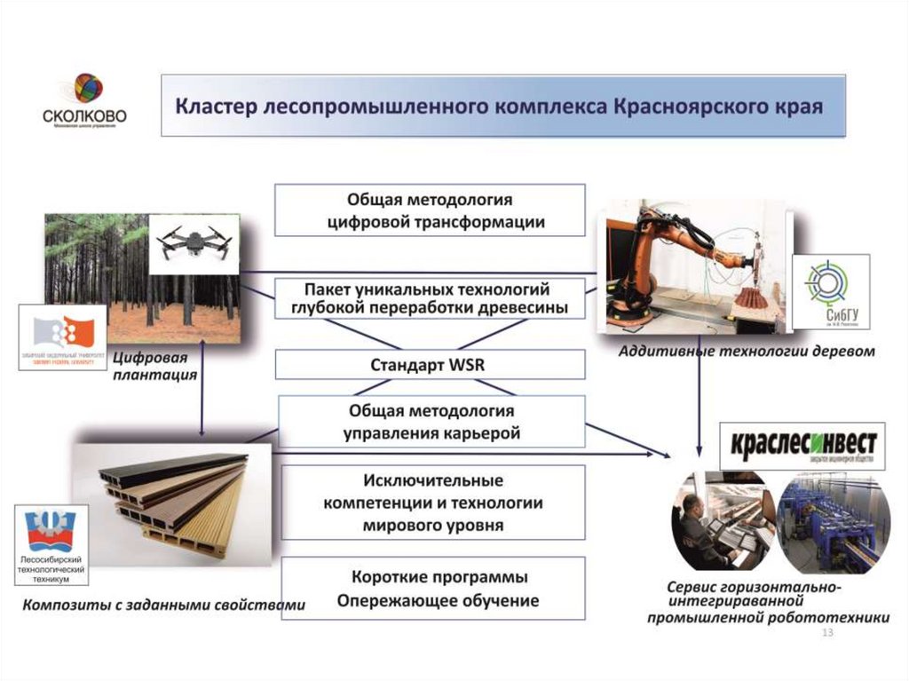 Состав лесопромышленного комплекса