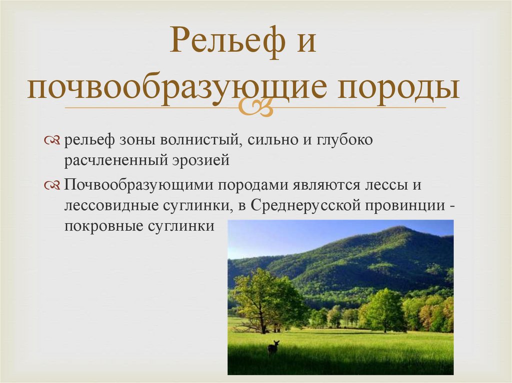 Почвообразующие породы