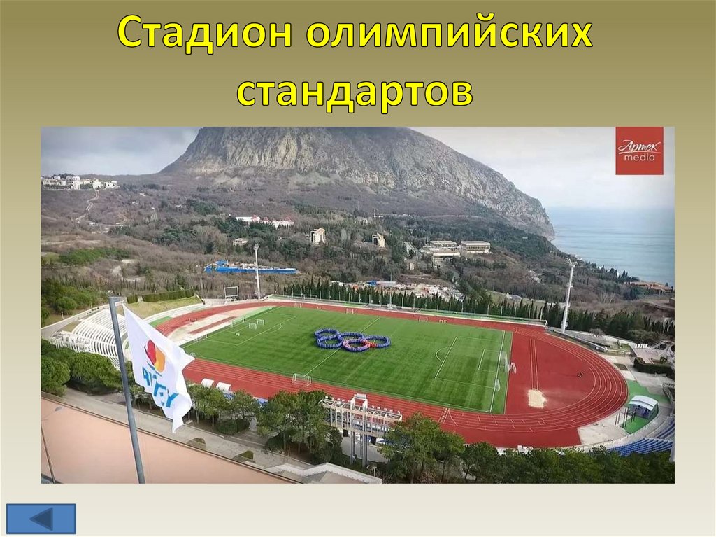 Стадион стандарт