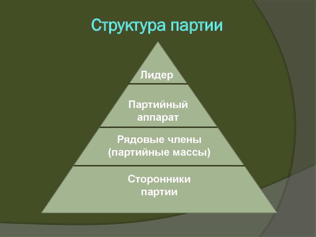 Структура партии лдпр схема