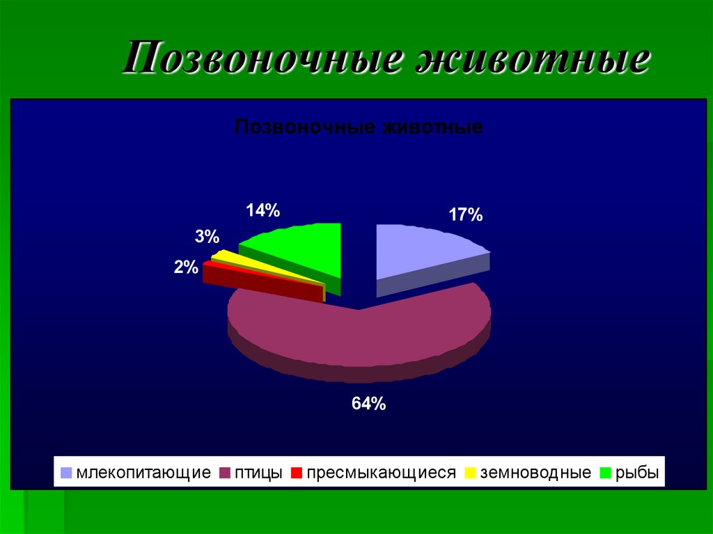 Животный мир нижегородской области презентация