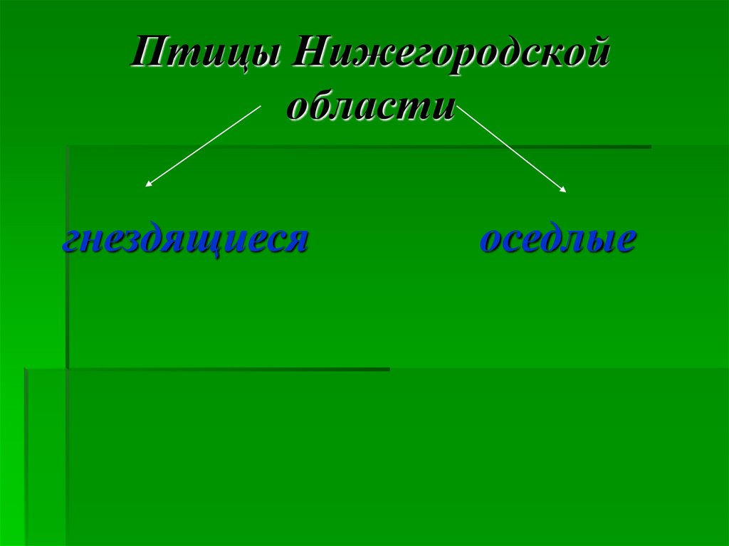 Животный мир нижегородской области презентация