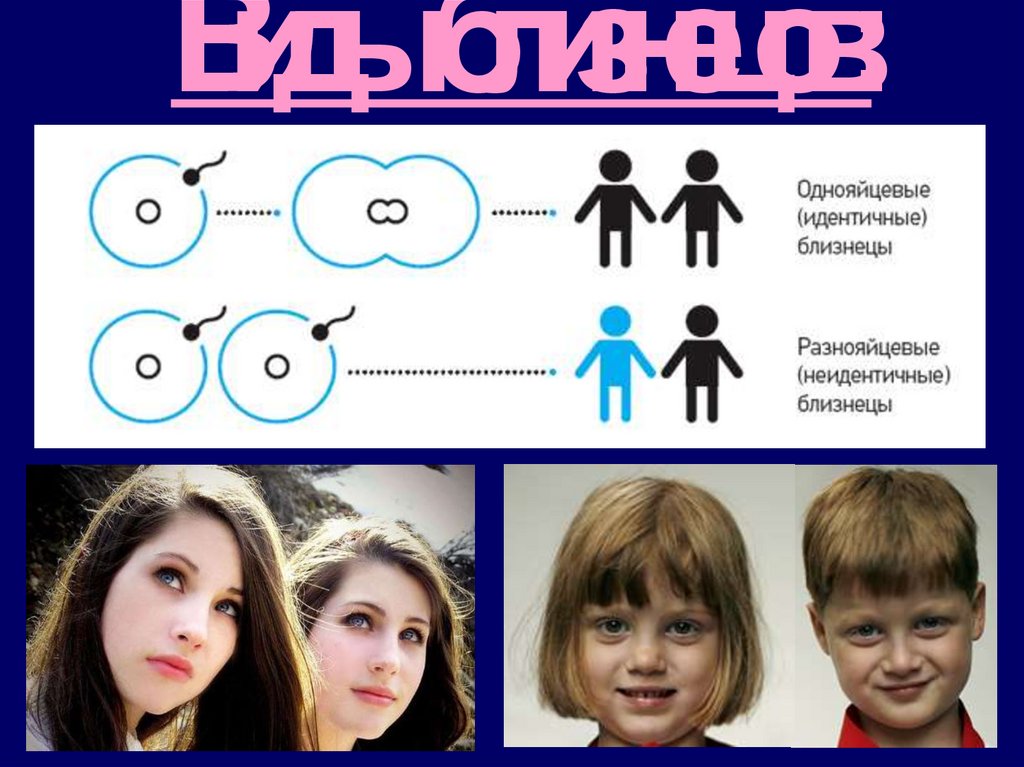 Близнецы и двойняшки разница. Однояйцевые и разнояйцевые. Однояйцевые Близнецы. Что такое однояйцевые Близнецы и разнояйцевые Близнецы. Однойцавые разнойцевые блтзнецы.