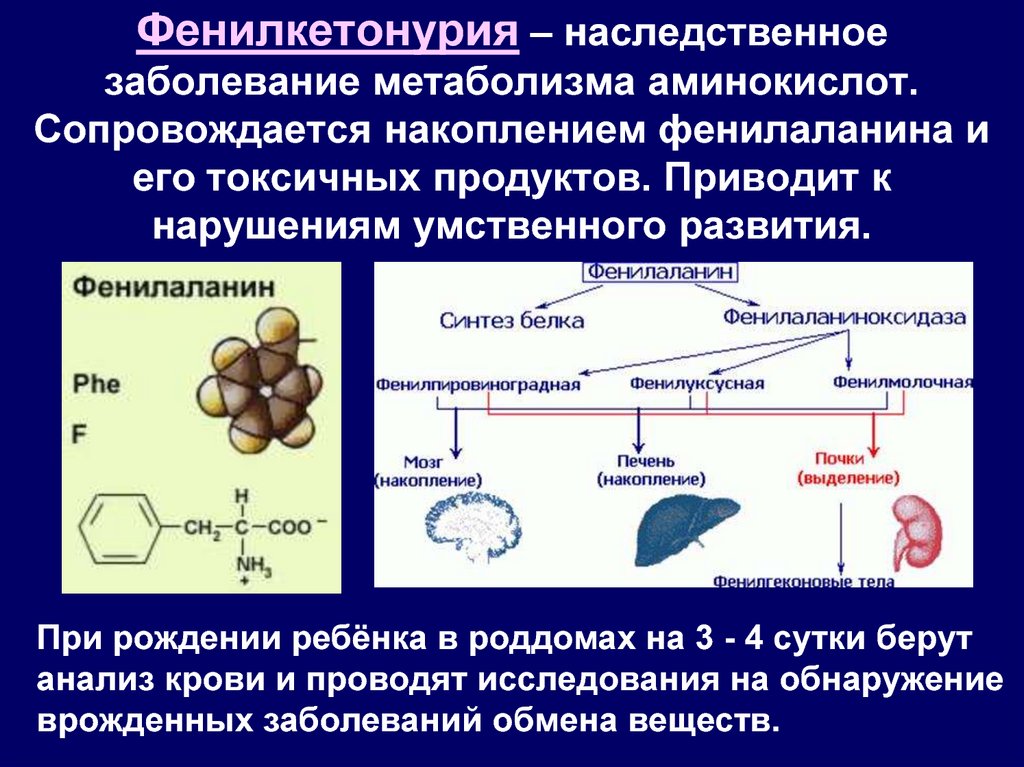 Что такое фенилкетонурия. Фенилкетонурия механизм развития патологии. Наследственные болезни обмена аминокислот фенилкетонурия. Фенилкетонурия хромосомная формула. Механизм возникновения фенилкетонурии.