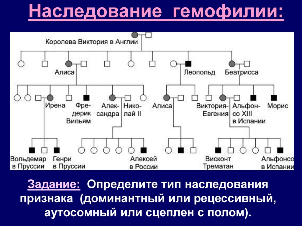 Генотип женщины страдающей гемофилией. Гемофилия Тип наследования схема. Гемофилия генетика Тип наследования. Определите Тип наследования. Генетическое дерево.