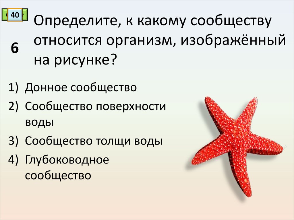 Как называется изображение неживого предмета как живого существа в лес бесшумно прилетела ночь