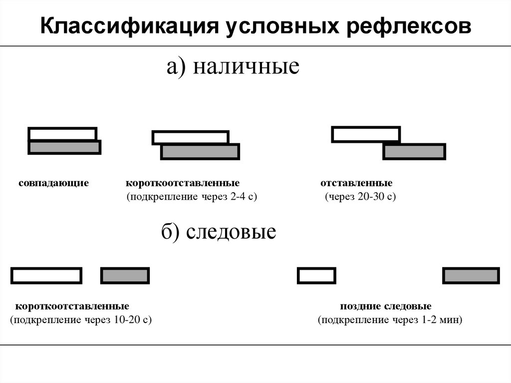 Условно меньше. Классификация условных рефлексов схема. Наличные и следовые условные рефлексы. Наличные и с ледовые рефлексы. Наличные и следовые условные рефлексы примеры.