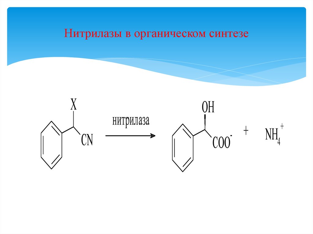 Реакция биологического синтеза. Нитрилазы. Органический Синтез. Биокатализ в тонком органическом синтезе. Промышленный органический Синтез доклад.