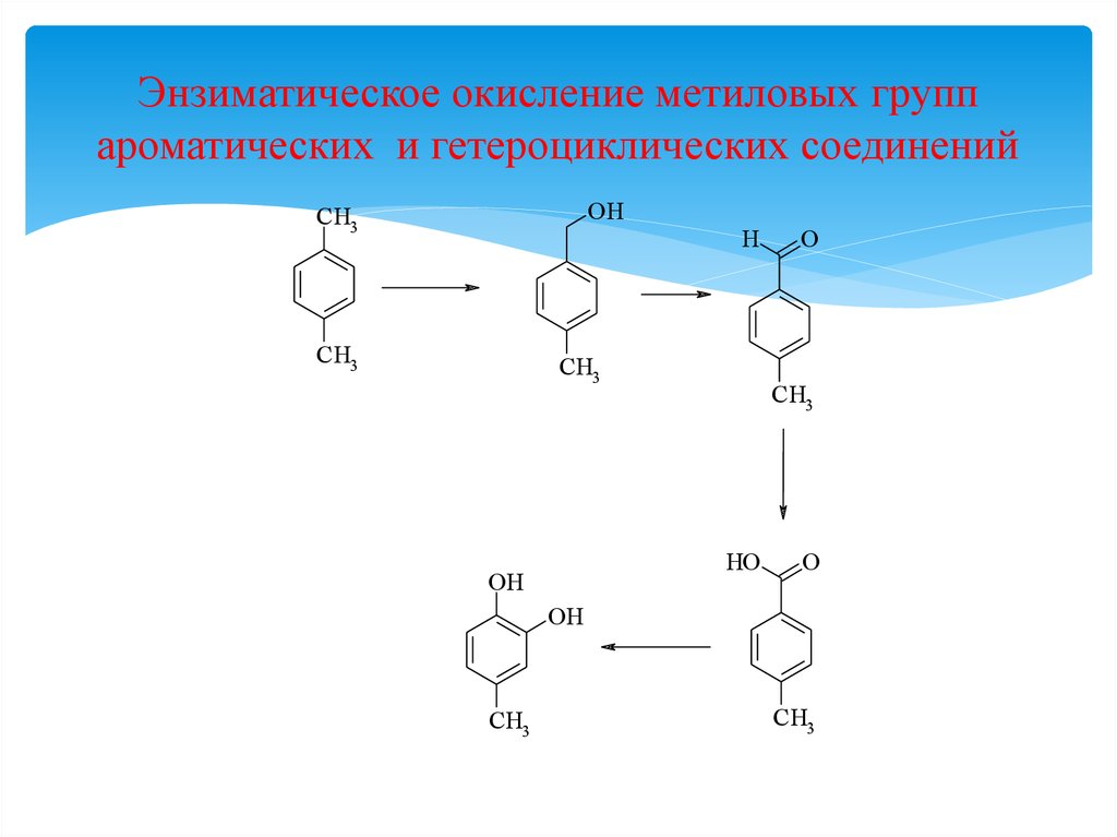 Энзиматическое окисление метиловых групп ароматических и гетероциклических соединений
