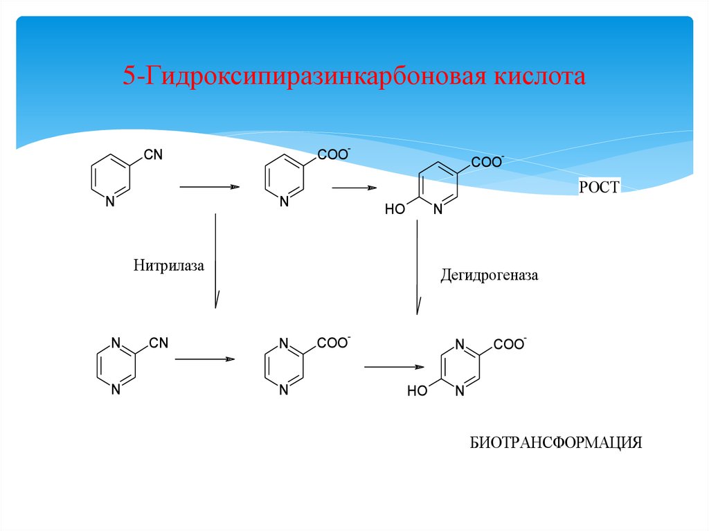 5-Гидроксипиразинкарбоновая кислота