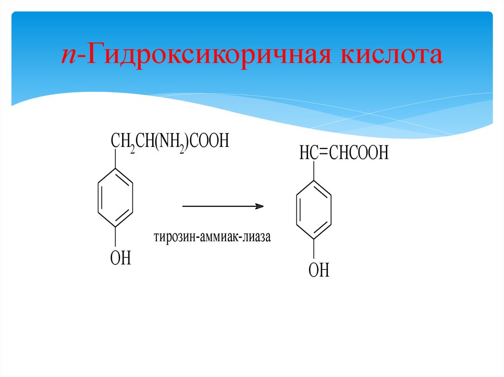 п-Гидроксикоричная кислота